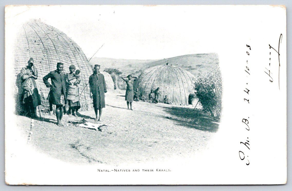 Antique Natal South Africa Natives and Their Kraals 1903 Antique Natal South Africa Natives and Their Kraals 1903