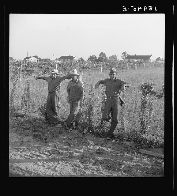 Lake Dick Arkansas 1939 FSA Cooperative Farm Young Farmers Scarecrow Pose