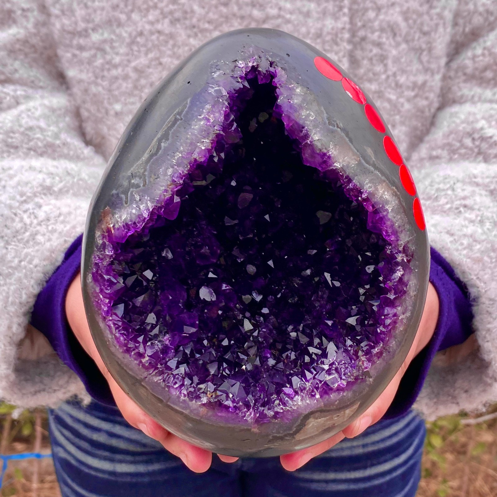 8.15LB Natural amethyst Dinosaur egg Quartz Crystal specimen healing