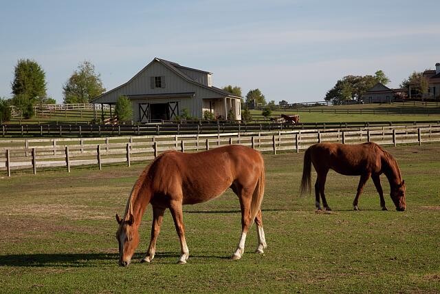 Photo:Rural Alabama Spring 2010 Horses Farm Barn Pasture Ranch