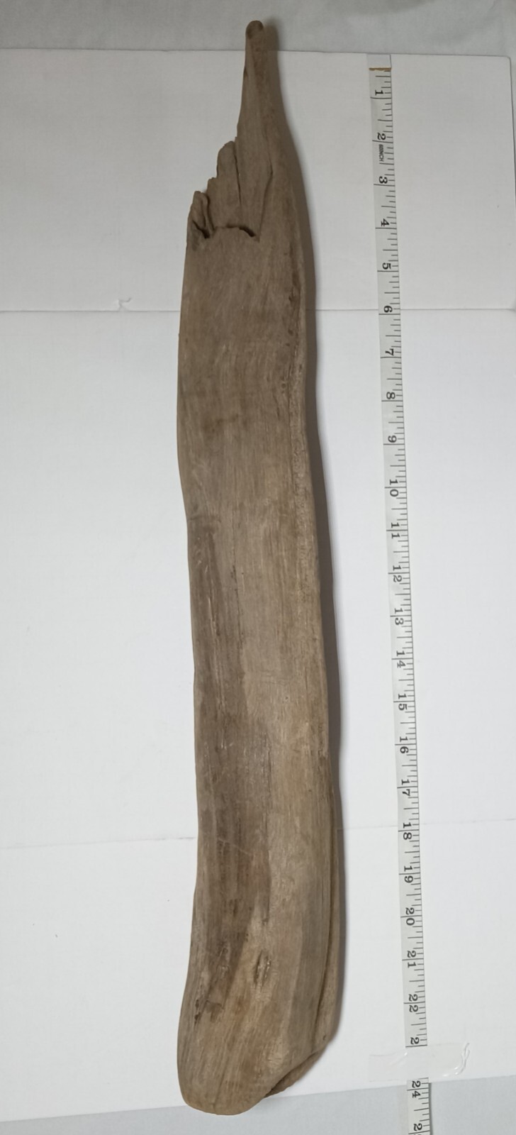 Authentic Beach Driftwood