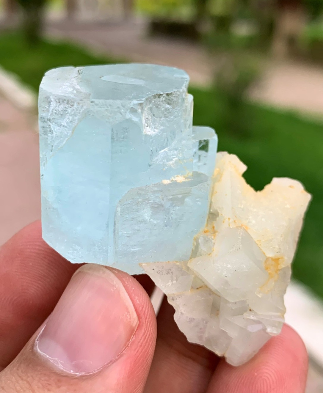 Aquamarine Transparent and Terminated Crystal Cluster Muscovite Specimen 225 CTS