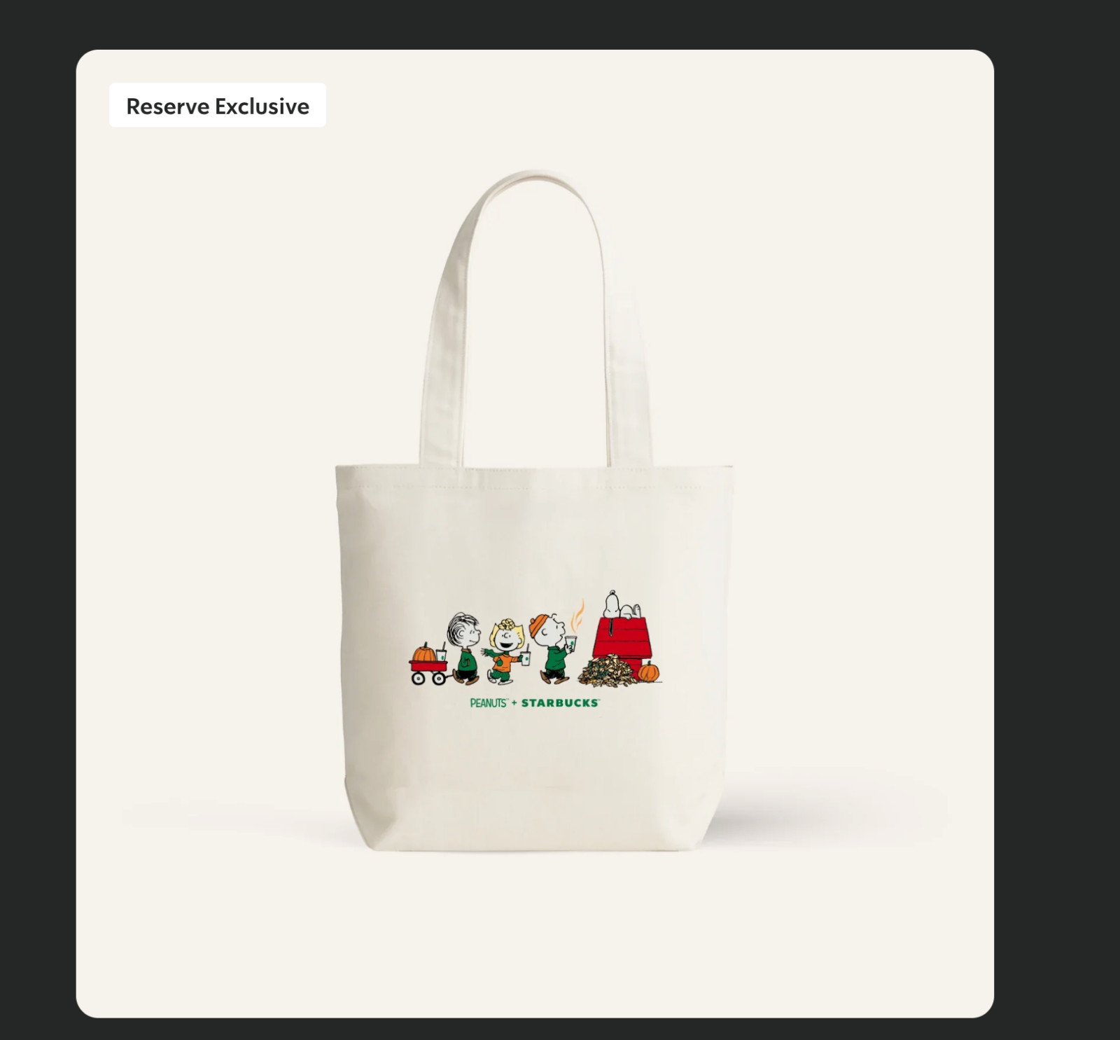 Starbucks SNOOPY Peanuts Pumpkin Canvas RARE Tote Bag IN HAND