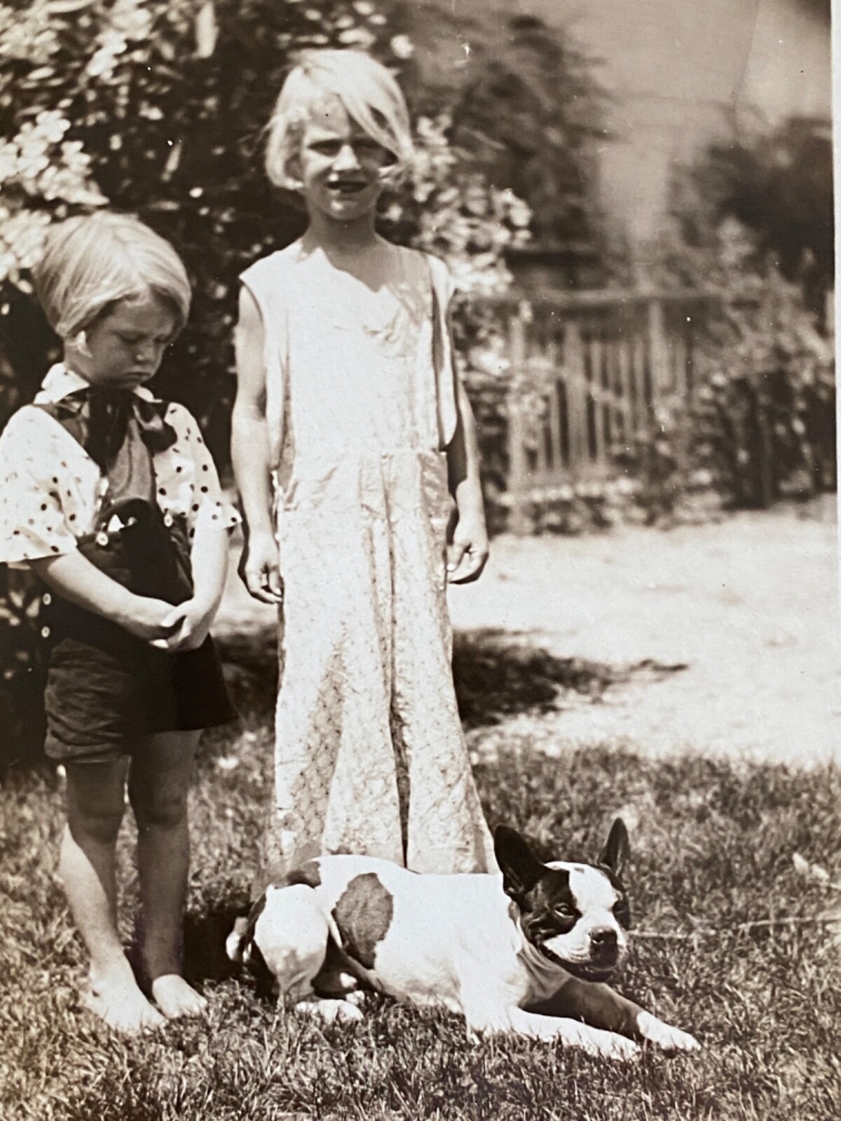 1933 BOSTON TERRIER CHILDREN vintage snapshot photograph LOS ANGELES, CALIFORNIA 1933 BOSTON TERRIER CHILDREN vintage snapshot photograph LOS ANGELES, CALIFORNIA