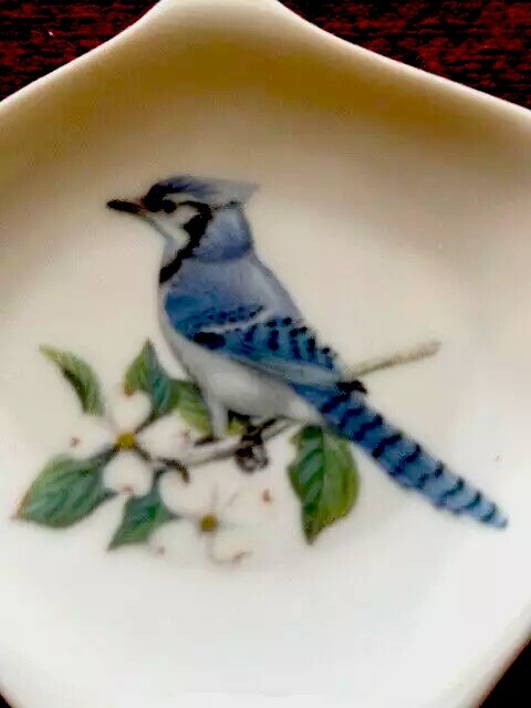 Blue Jay  New Handmade Ceramic-Porcelain Tea Bag Spoon Rest