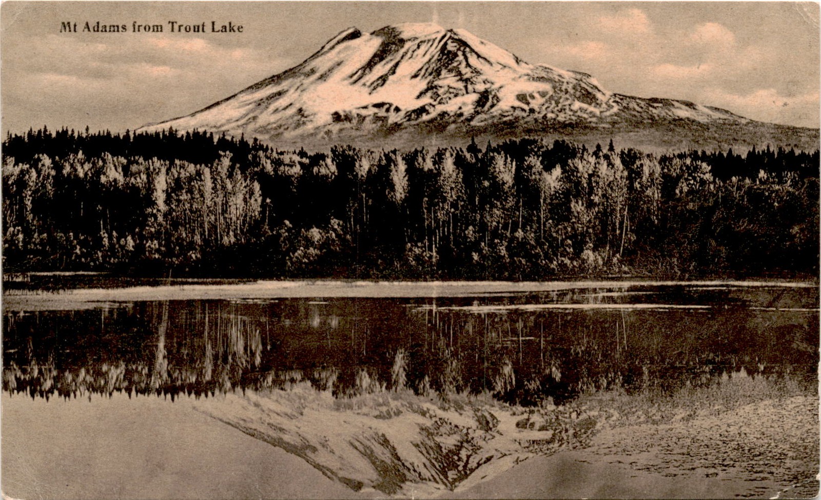 Mt Adams, Trout Lake, Fred Schaer, Tudor, Sutter Co, Cal, Portland Postcard Mt Adams, Trout Lake, Fred Schaer, Tudor, Sutter Co, Cal, Portland Postcard