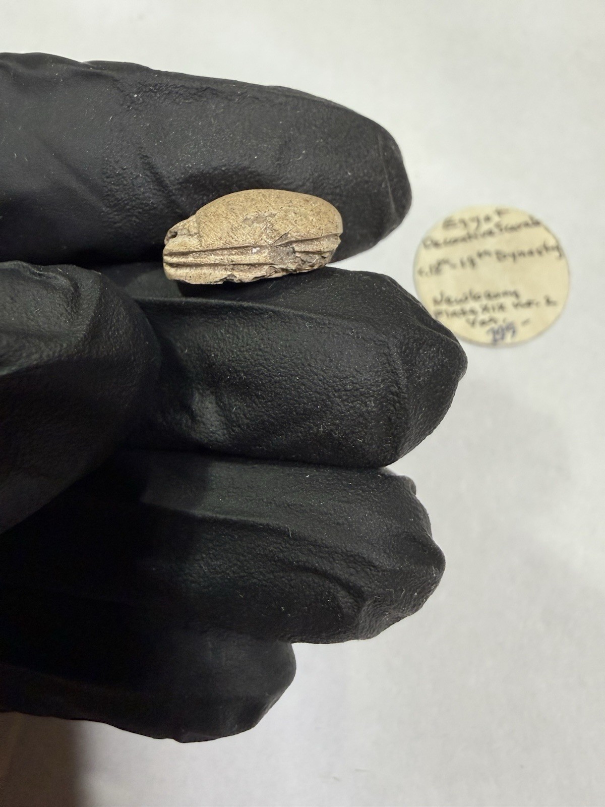 Ancient Egyptian Scarab