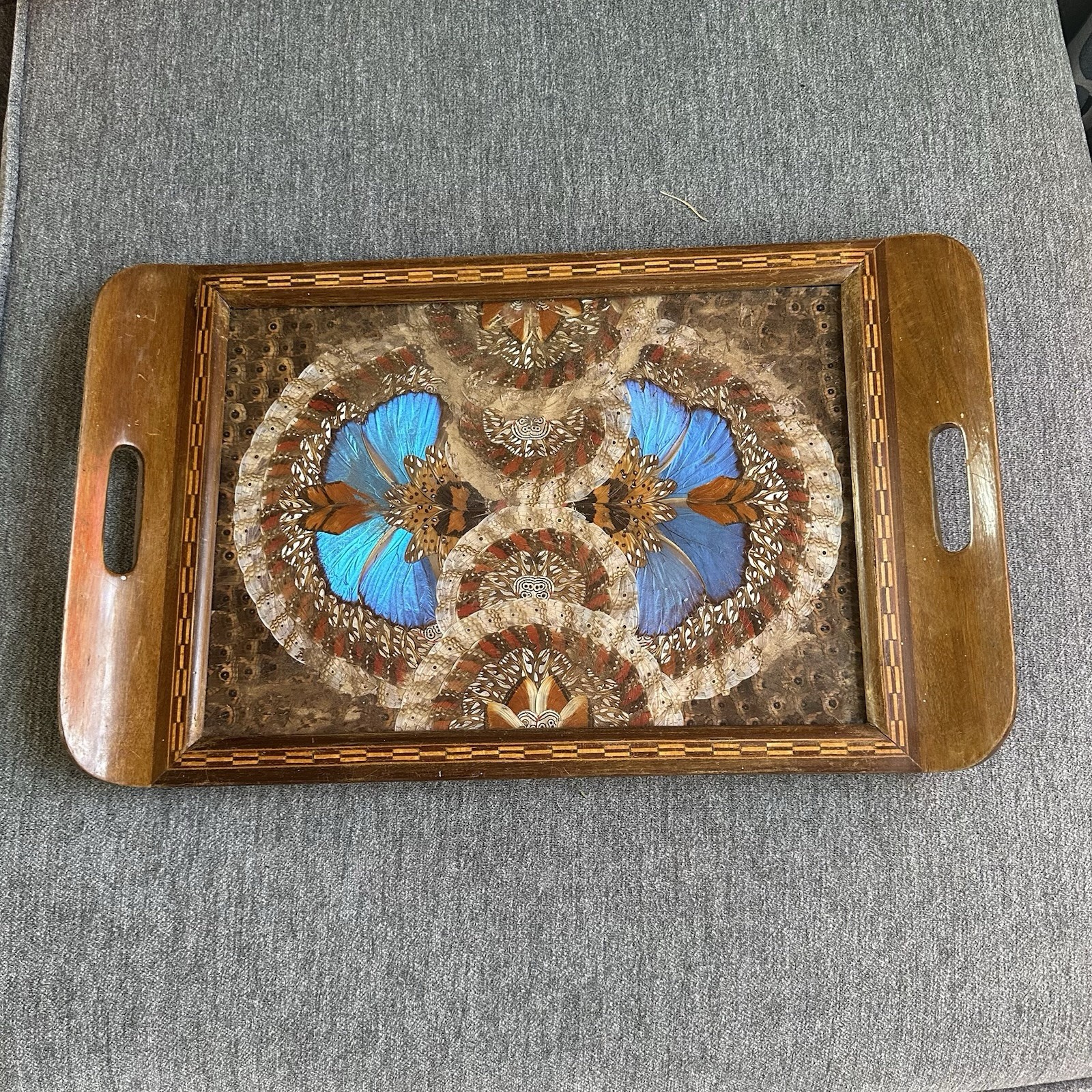 Vintage Brazilian Morpho Butterfly Wing Inlaid Wood Tray 18”x 11” x 1