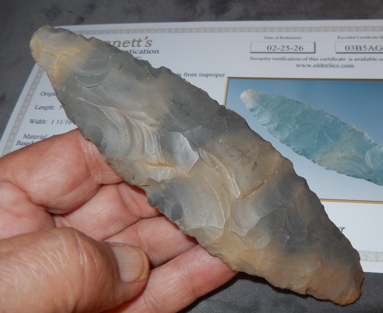 A VERY PRETTY LARGE  5-7/16\