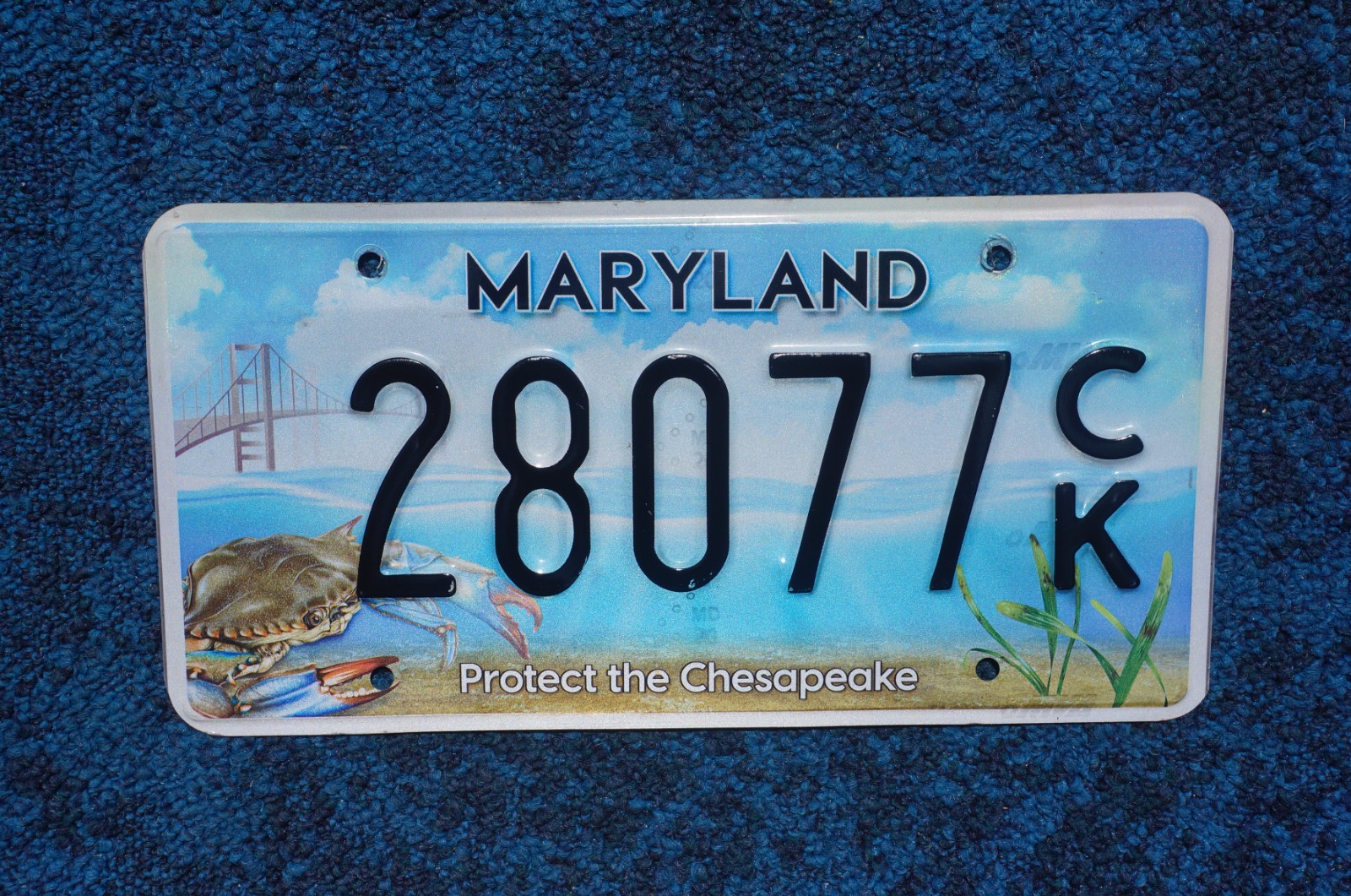 Maryland PROTECT The CHESAPEAKE License Plate Blue Crab