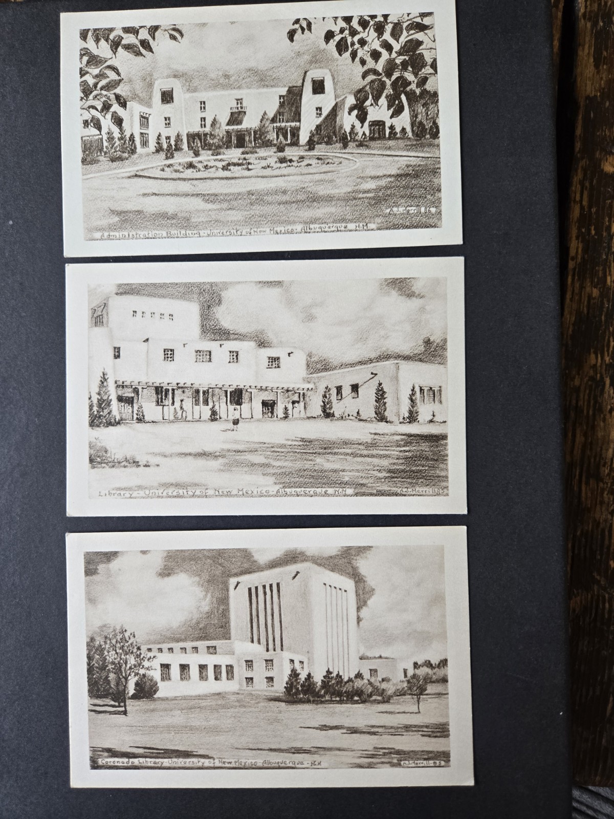 Collection LOT Univ New Mexico Illustrated Artist J. Merrill 1930s Postcards (3)