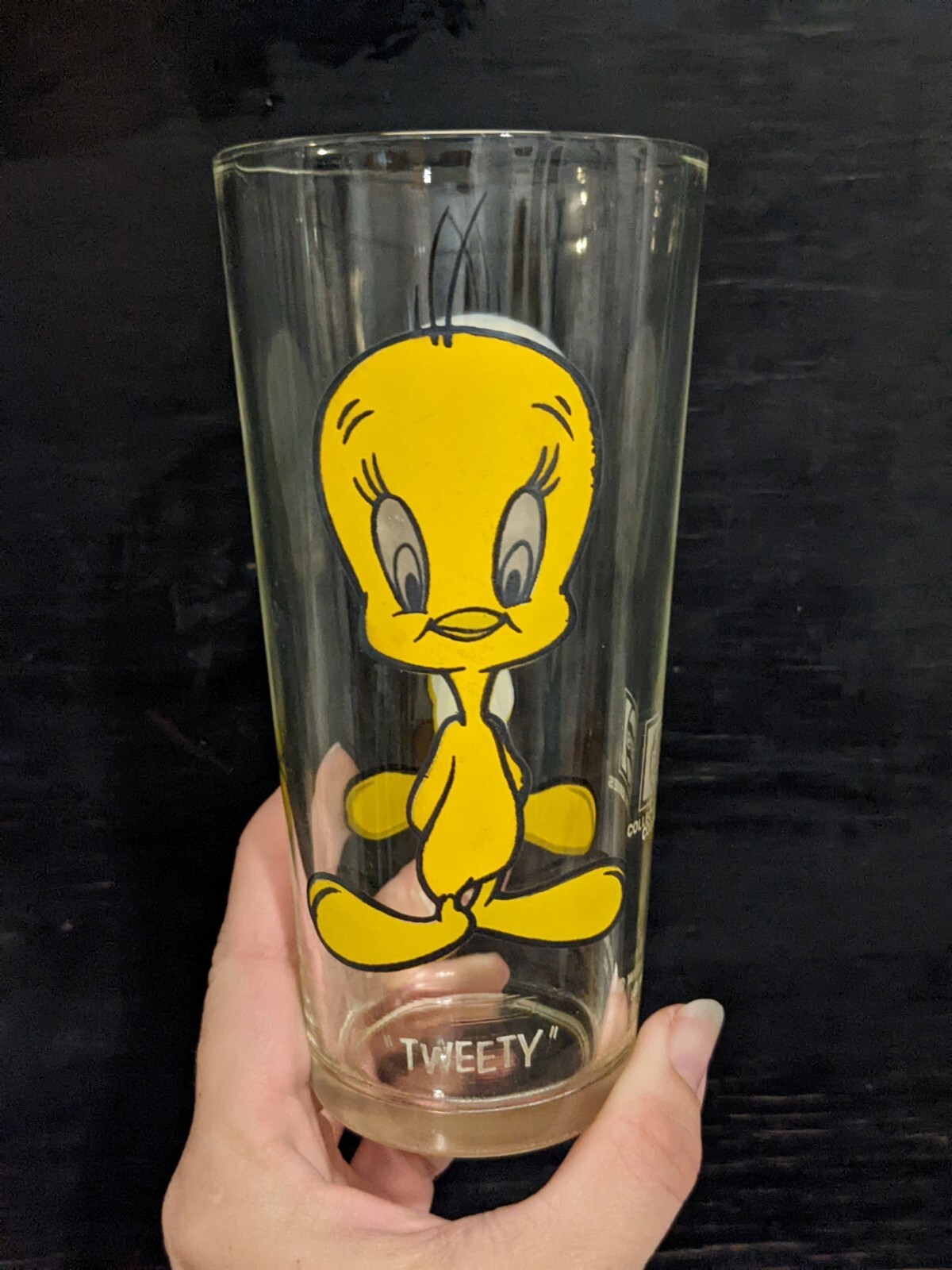 Vntg 1973 Looney Tunes Tweety Bird Warner Bros Pepsi Collector Series Glass Cup 