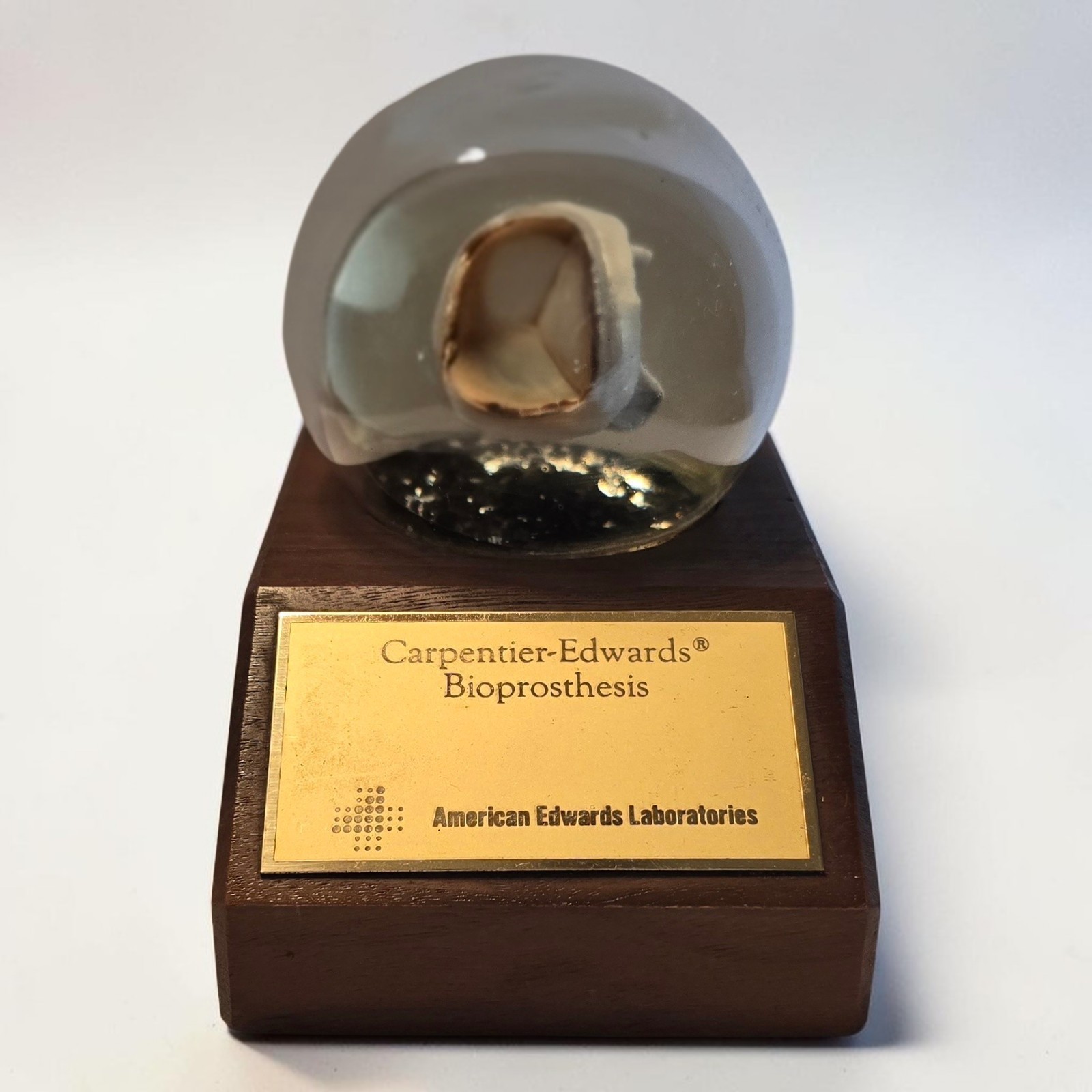 Vintage Carpenter-Edwards Laboratories Encased Heart Valve Bioprosthesis Display Vintage Carpenter-Edwards Laboratories Encased Heart Valve Bioprosthesis Display
