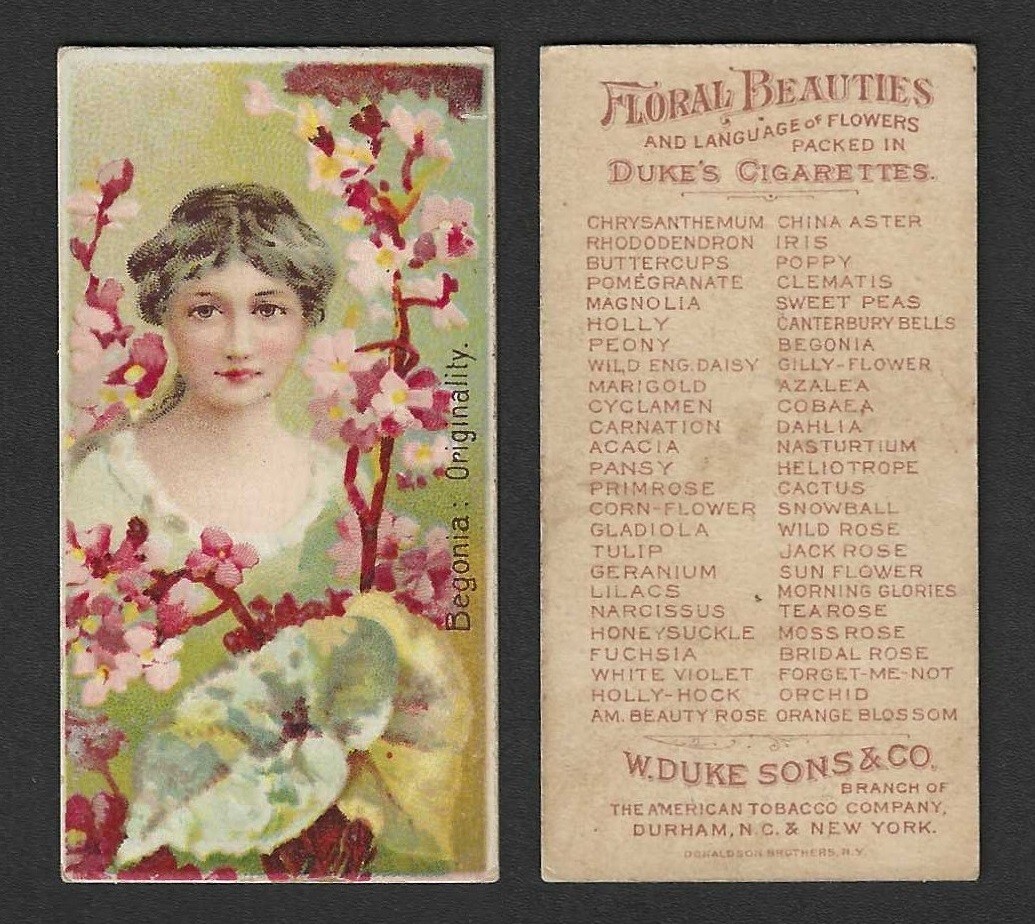 c1880\'s N75 Duke Tobacco Card - Floral Beauties Series - Begonia Originality