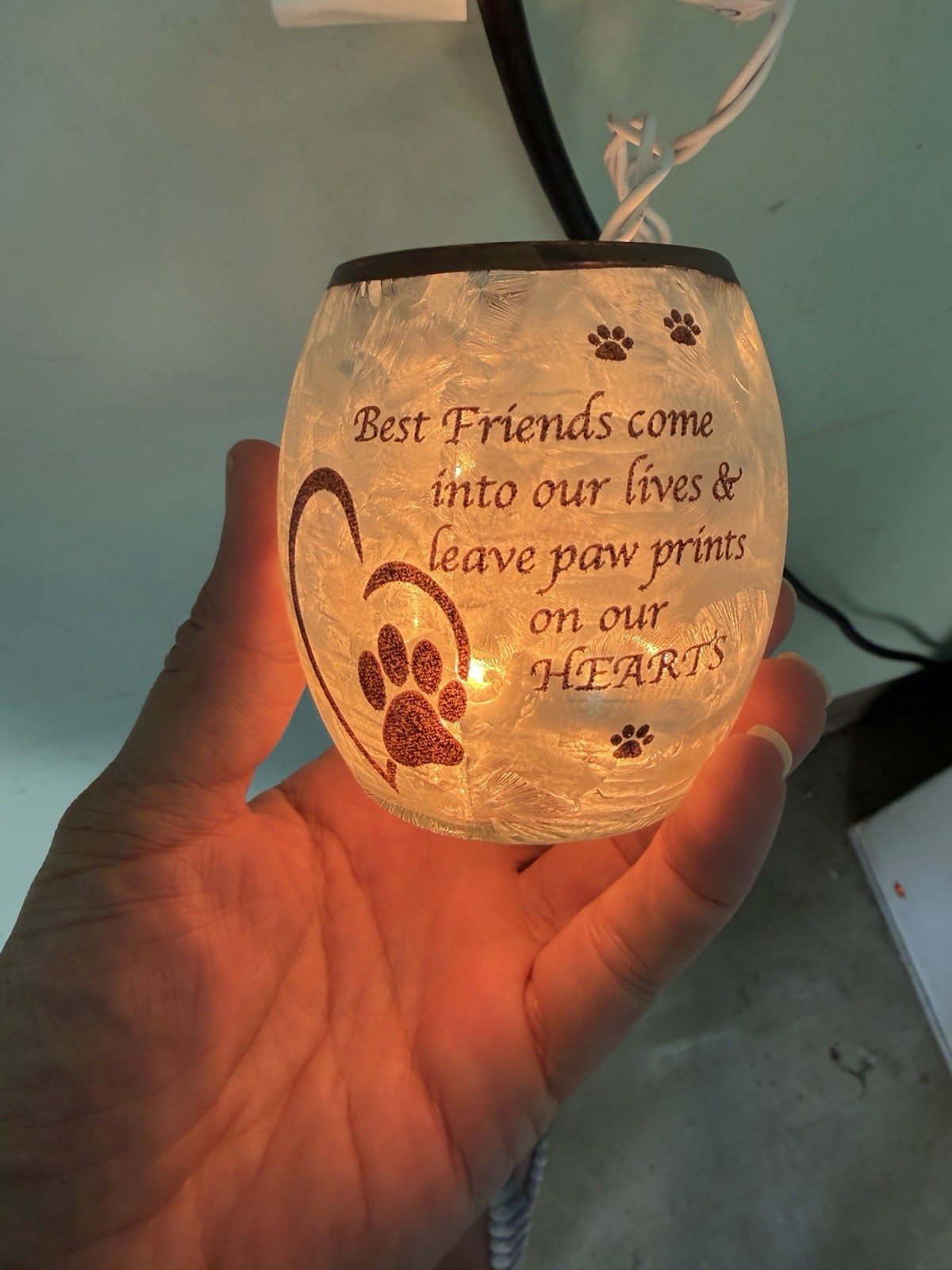 Light Up Jar Leave Paw Prints On Your Heart
