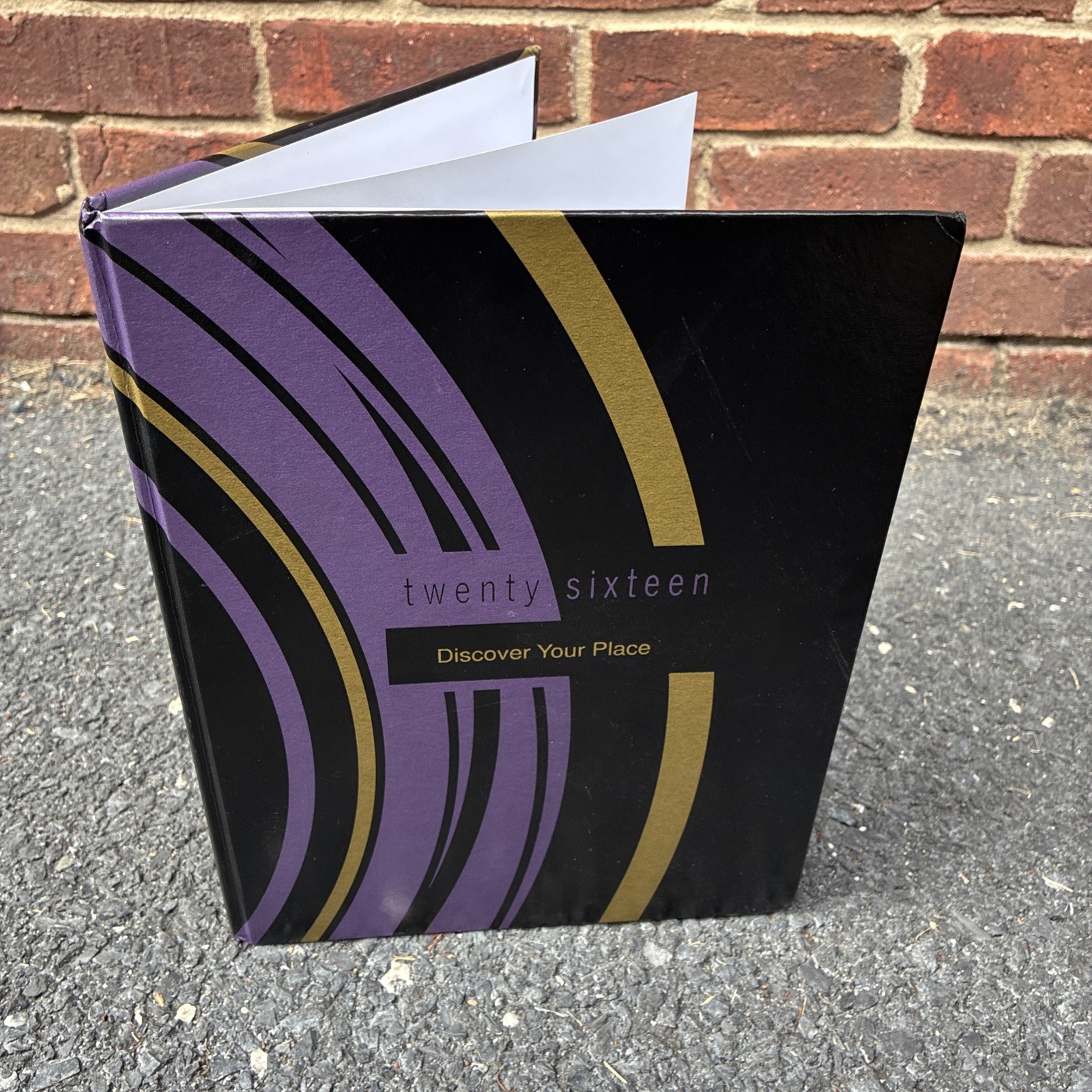 Mary Baldwin College 2016 Discover Your Place Hardcover Student Yearbook 