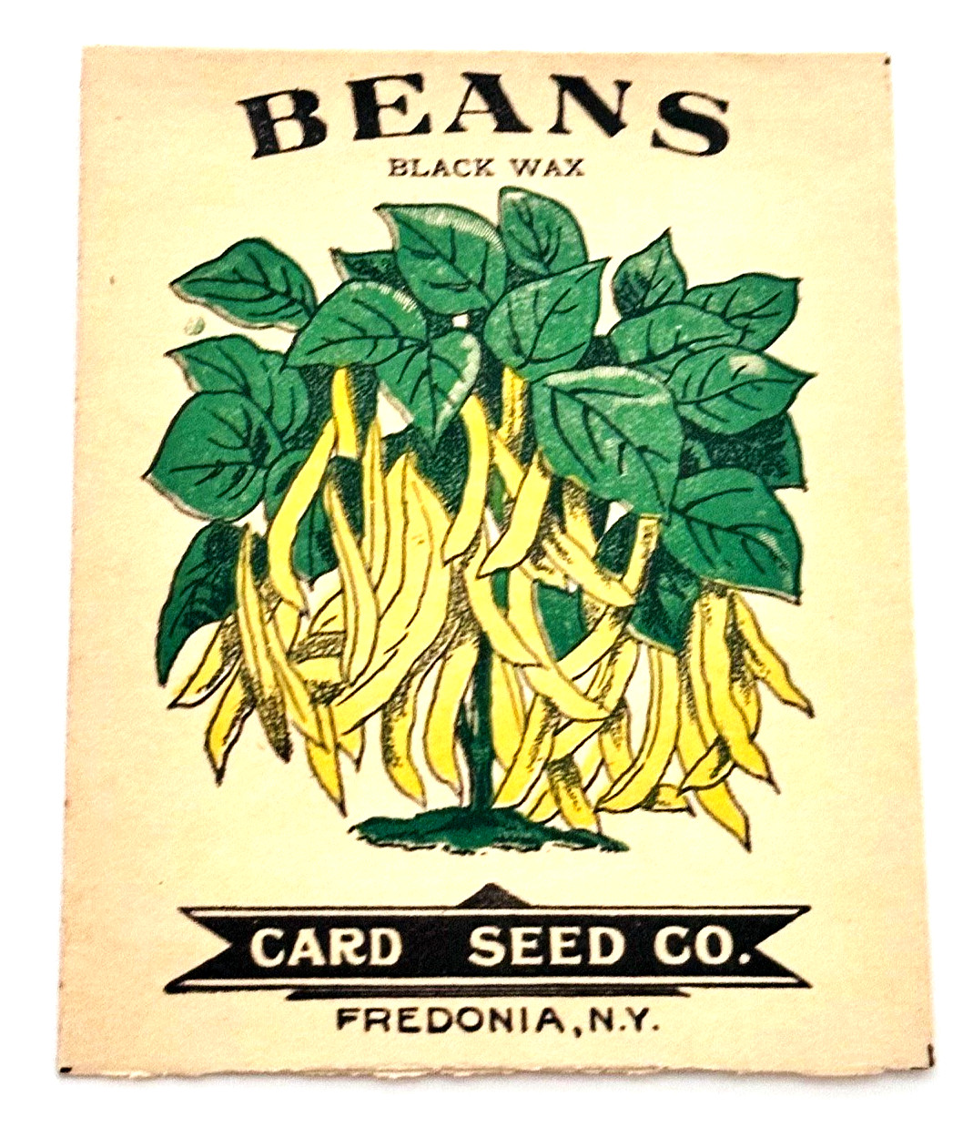 Card Company Fredonia New York Paper Black Wax Beans Seed Packet