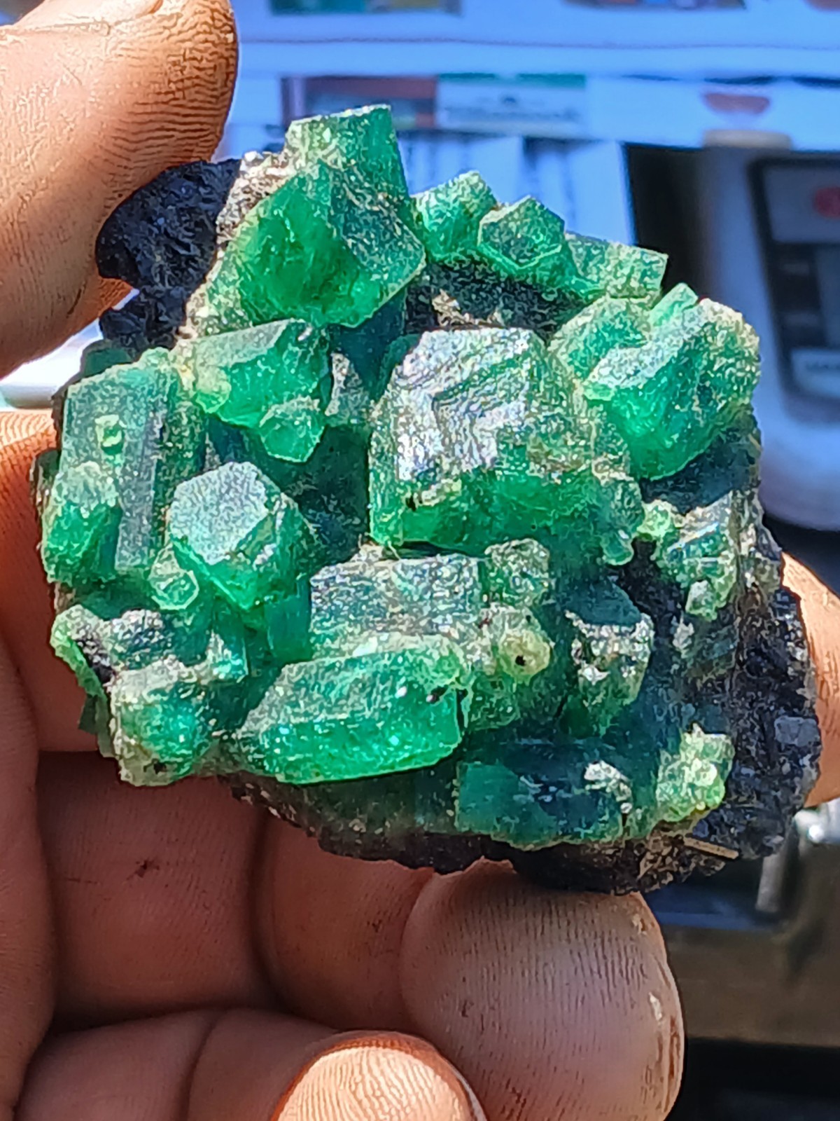 Emerald Cluster Specimen  Kagem MIne Zambia, Africa