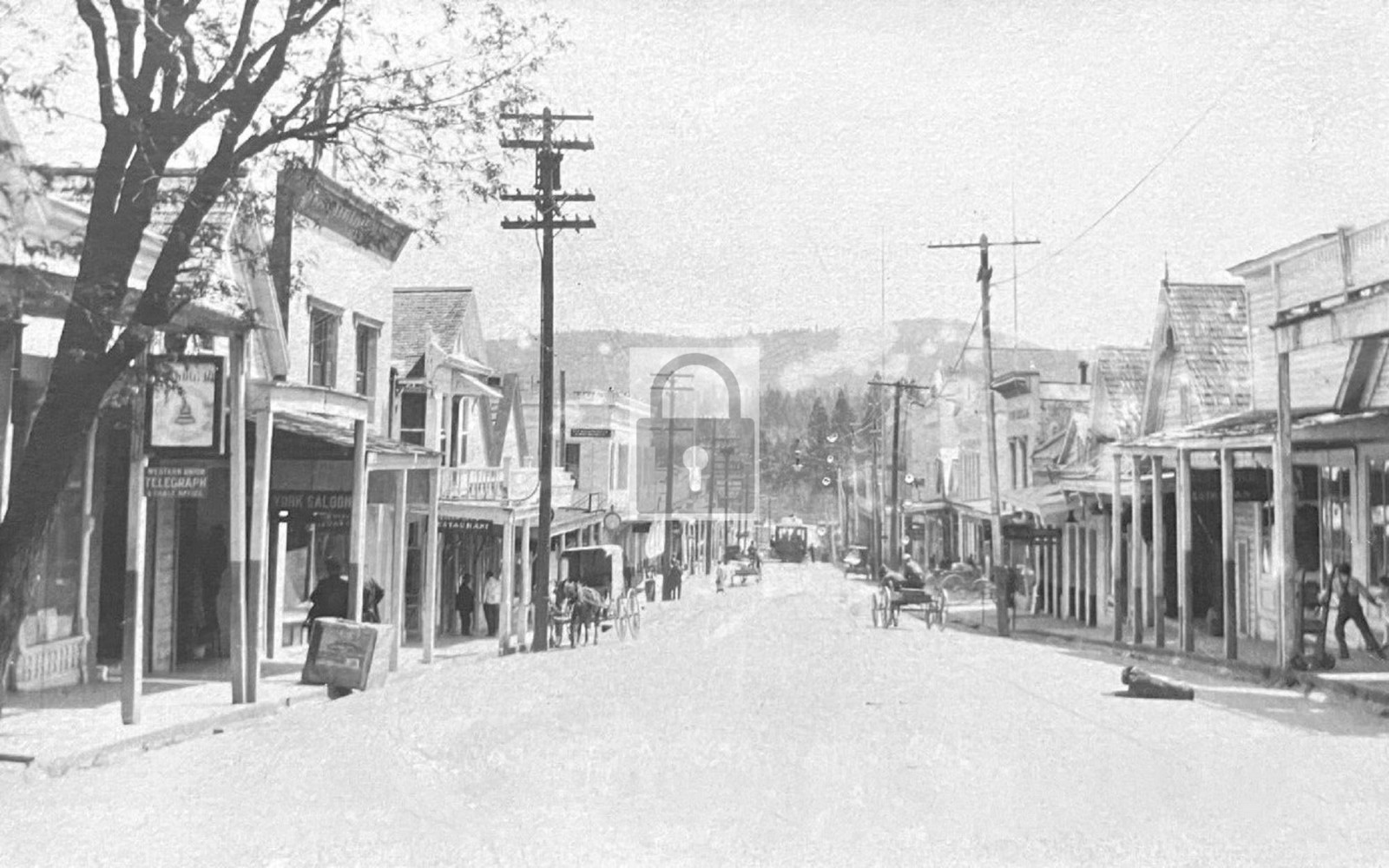 Street View Business Stores Nevada City California CA - Reprint