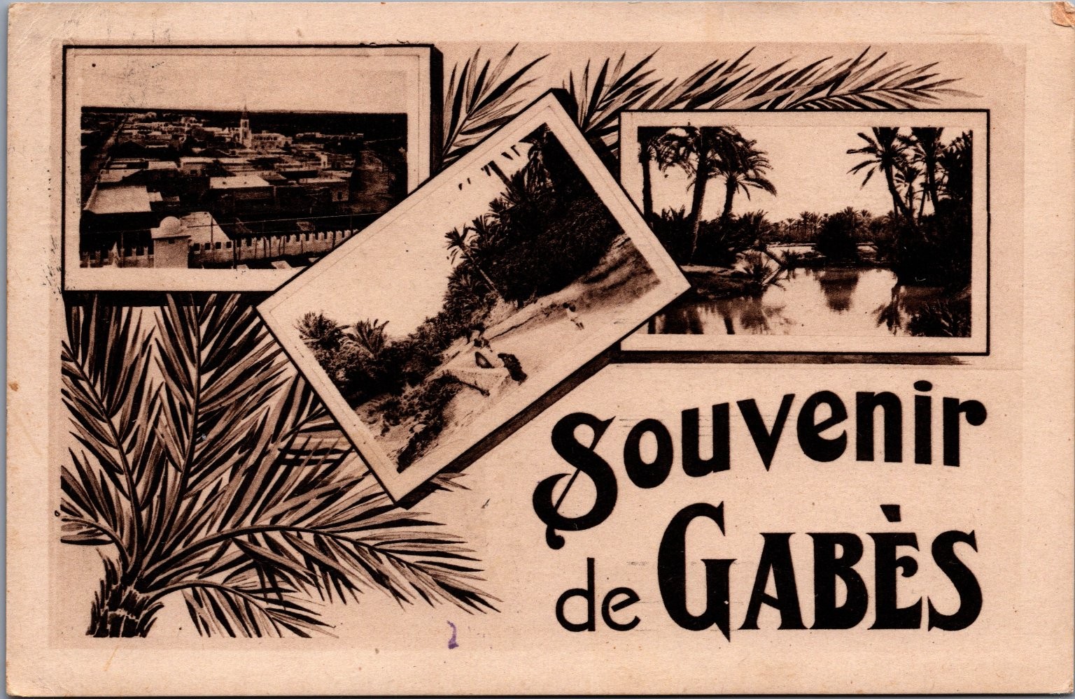 Vintage Souvenir de Gabès Tunisia Photo Postcard 1943 US Army Posted