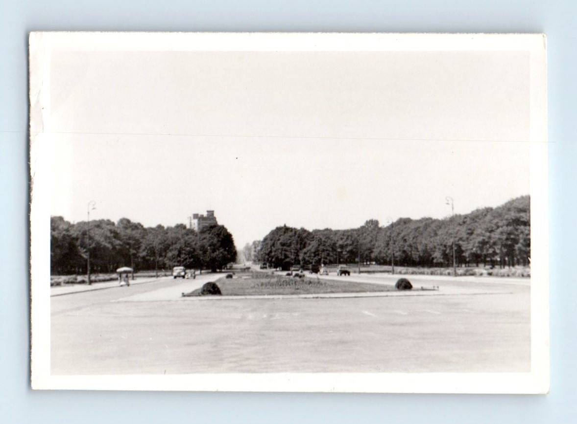Old Vintage Photo STREET SCENE ROAD CENTER DIVIDE TREES CLASSIC CARS SNAPSHOT