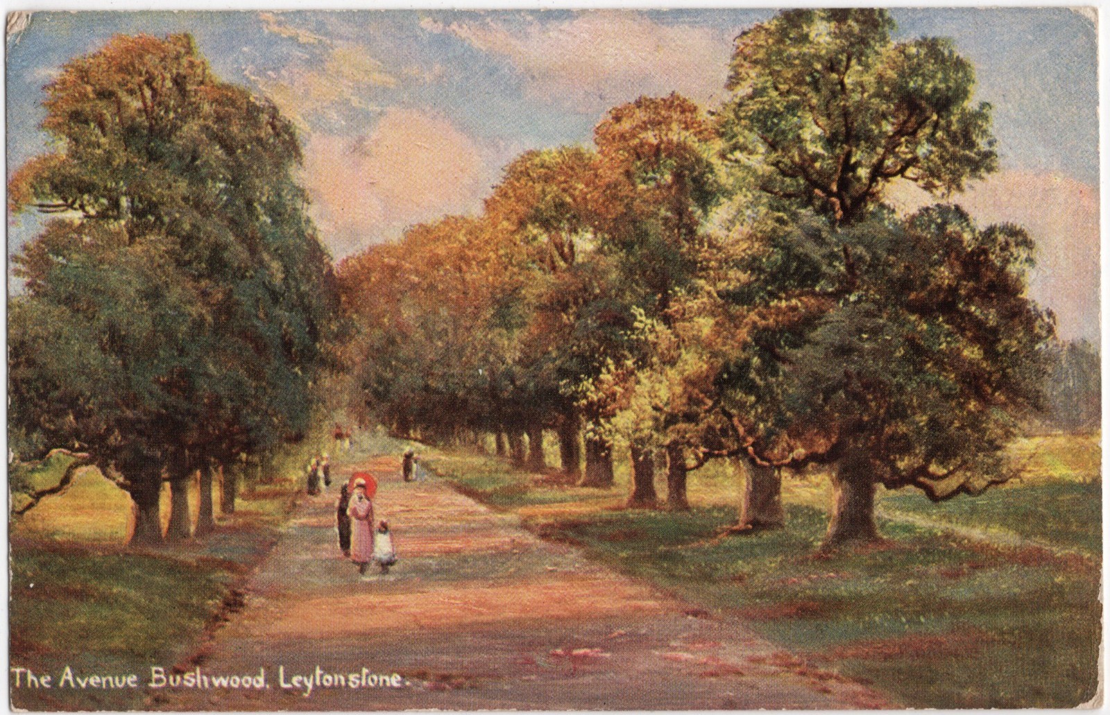 Antique 1907 The Avenue Bushwood Leytonstone London England Posted Postcard