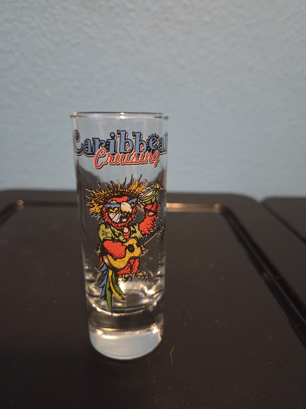 10 Souvenir Shot Glass Lot