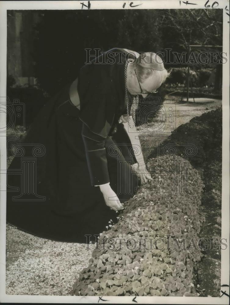 1960 Press Photo Bernard John Alfrink Chosen New Prince of Roman Catholic Church