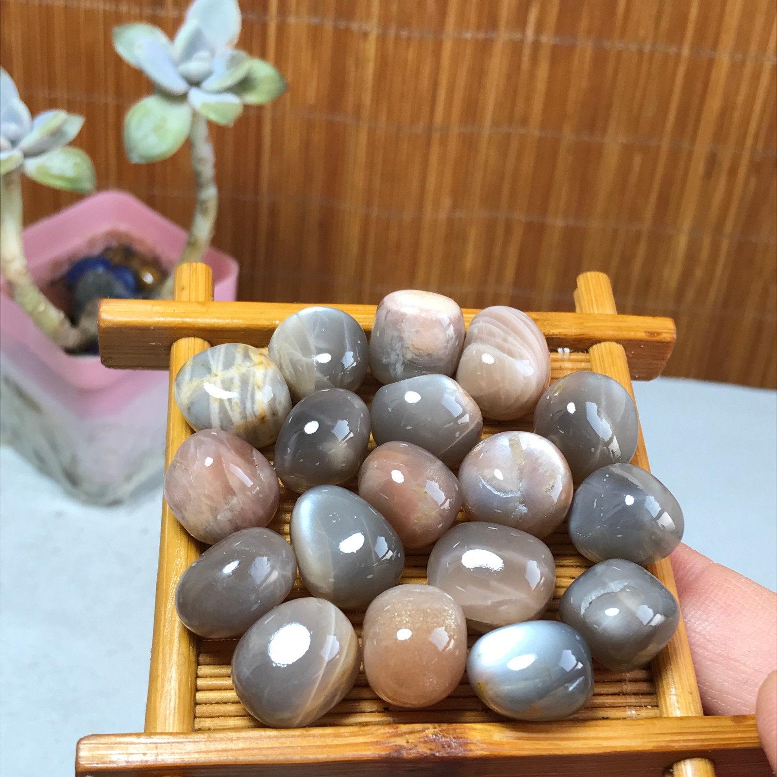 18Pcs NATURAL Black backbone crystal Polish specimens Tumbled 70g A3163