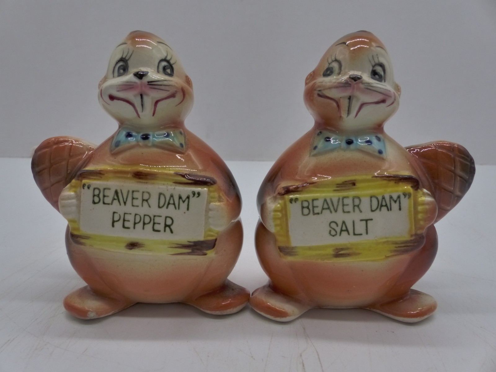 Cute Vintage Enesco Anthropomorphic Beaver Dam Salt & Pepper Shakers Ceramic