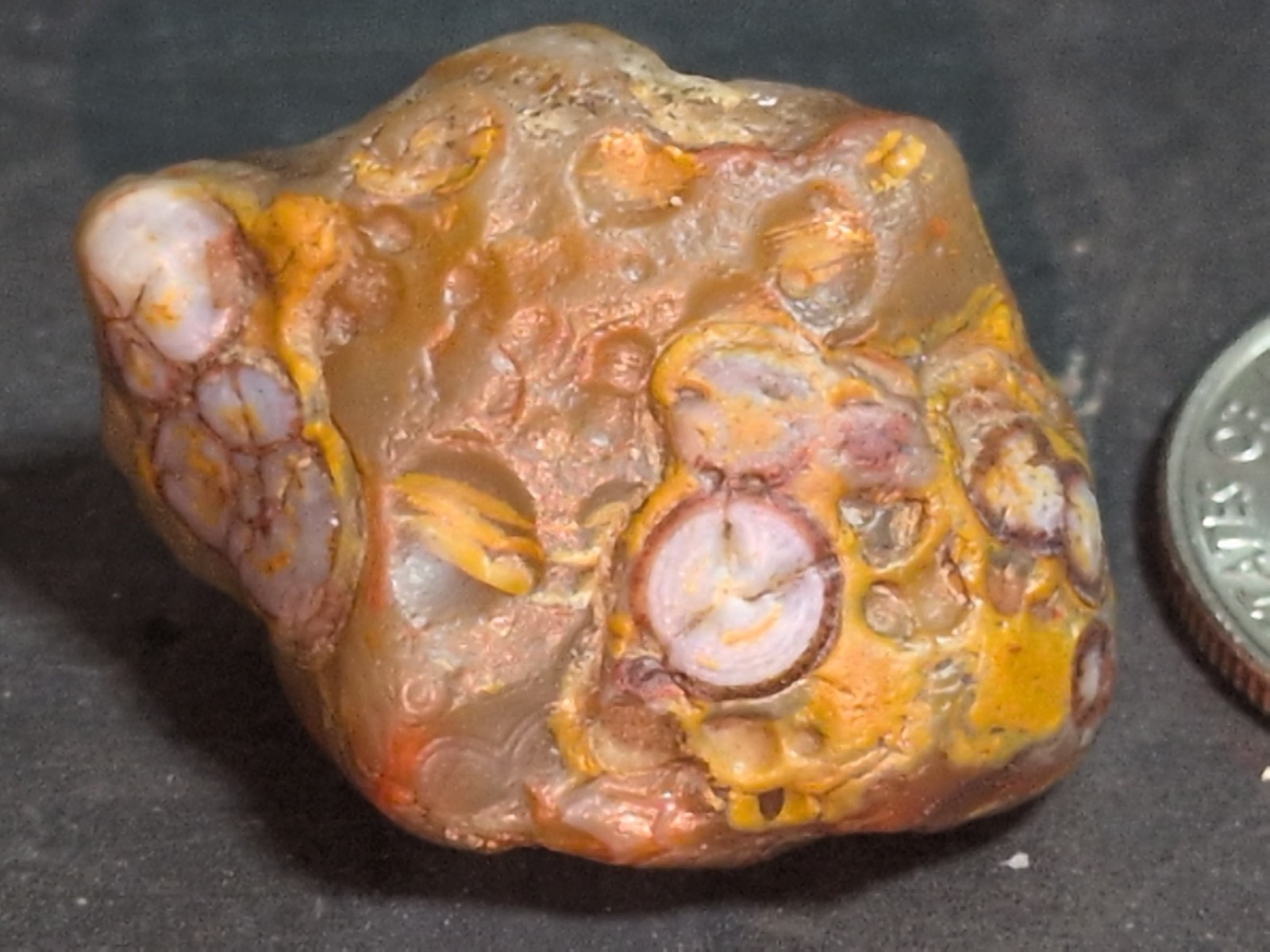 0.5oz Lake Superior Eye Agate 