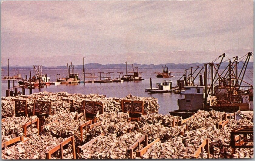 c1960s NAHCOTTA, Washington Postcard \