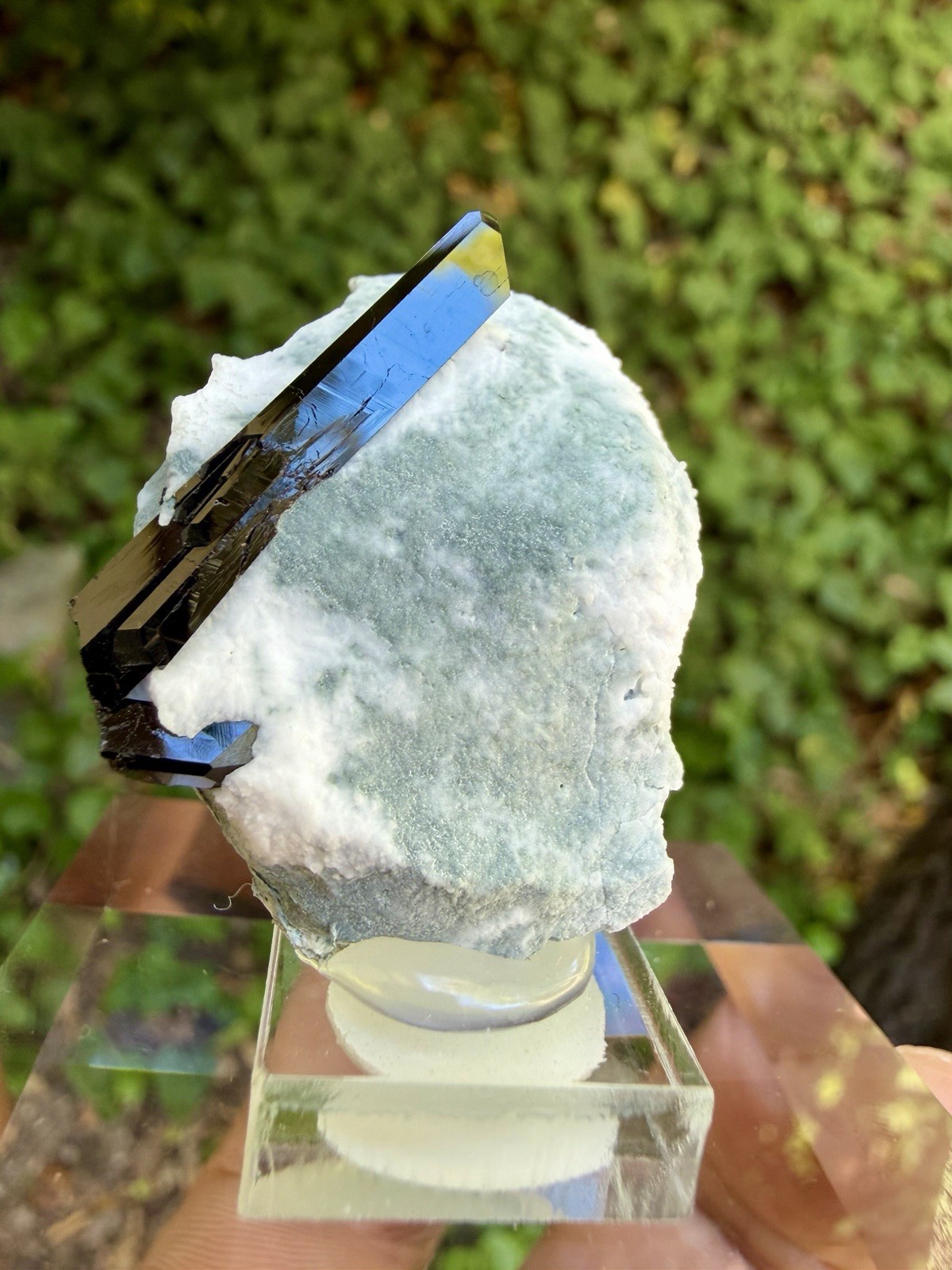 Top Quality Neptunite On Natrolite Specimen From San Benito County CA, 4cm Top Quality Neptunite On Natrolite Specimen From San Benito County CA, 4cm