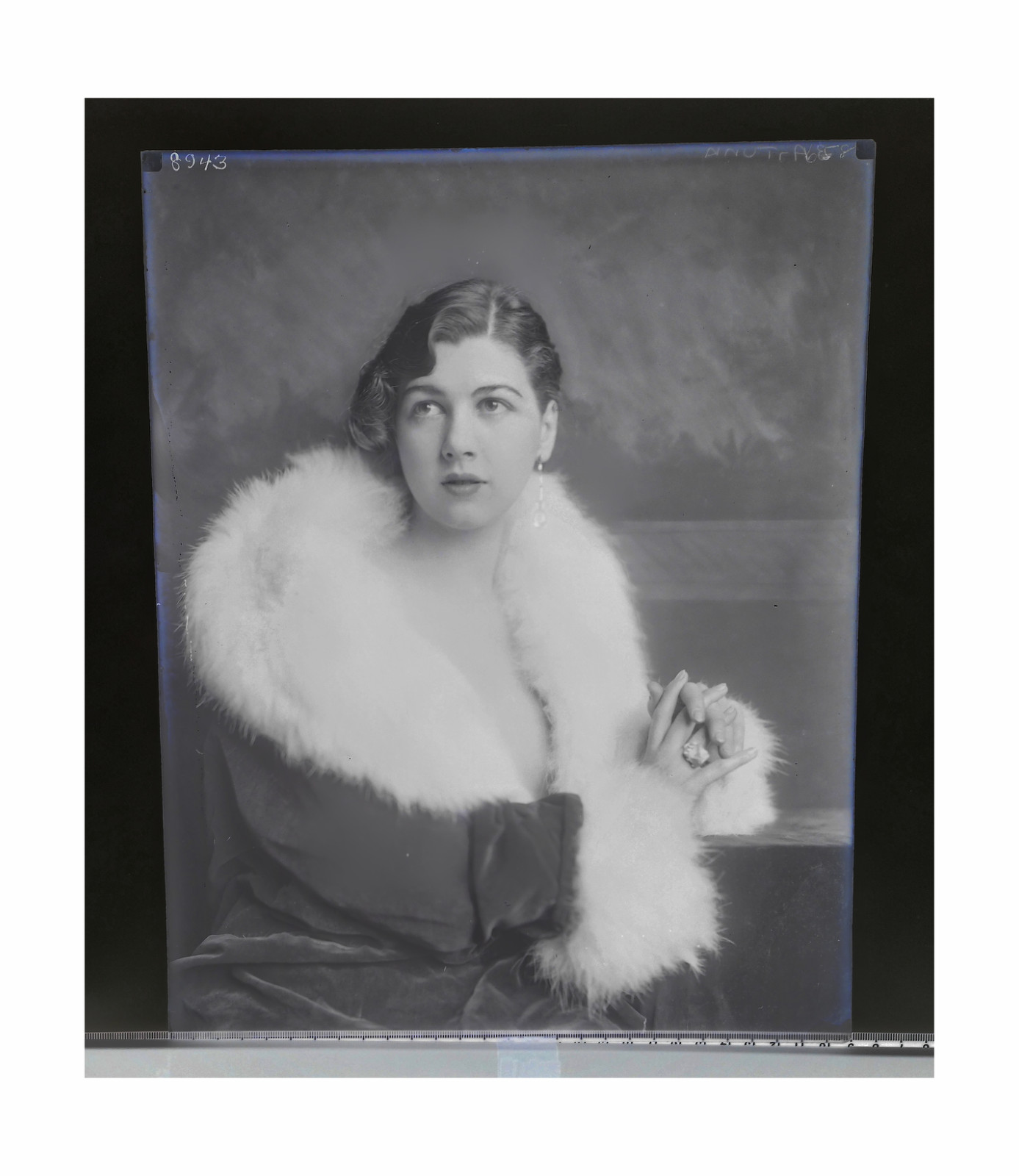 RARE 1920s 11x14 Glass Plate Negative – Alfred Cheney Johnston / Ziegfeld Follie