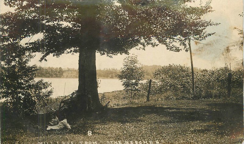Michigan C-1910 Mill Lake from Beeches AS IS RPPC Photo Postcard 22-8470