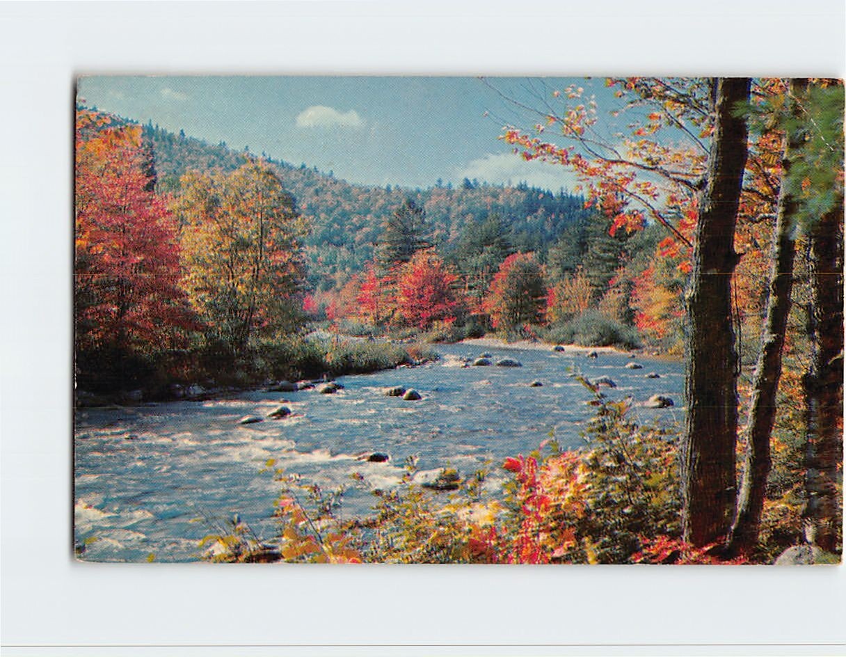 Postcard Nature/Landscape Scene