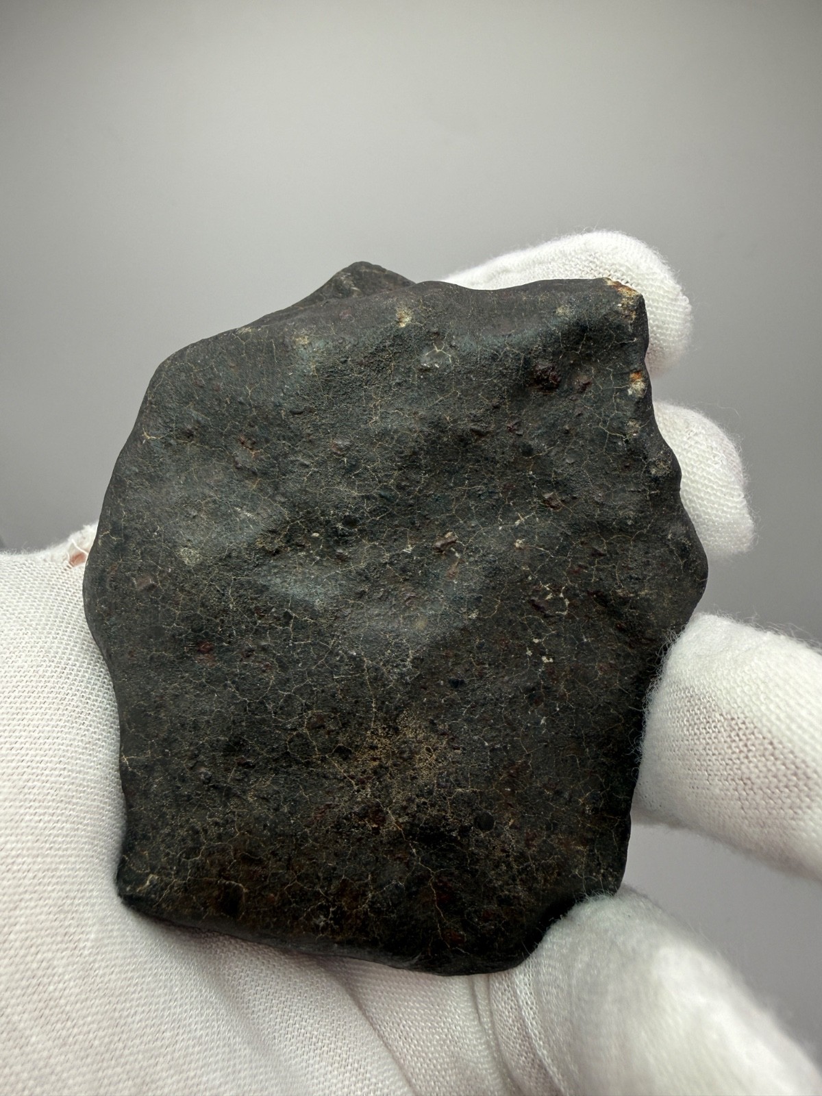 Hammadah al Hamra 346  Display Meteorite 220 g Full Crust - Poss. Witnessed Fall