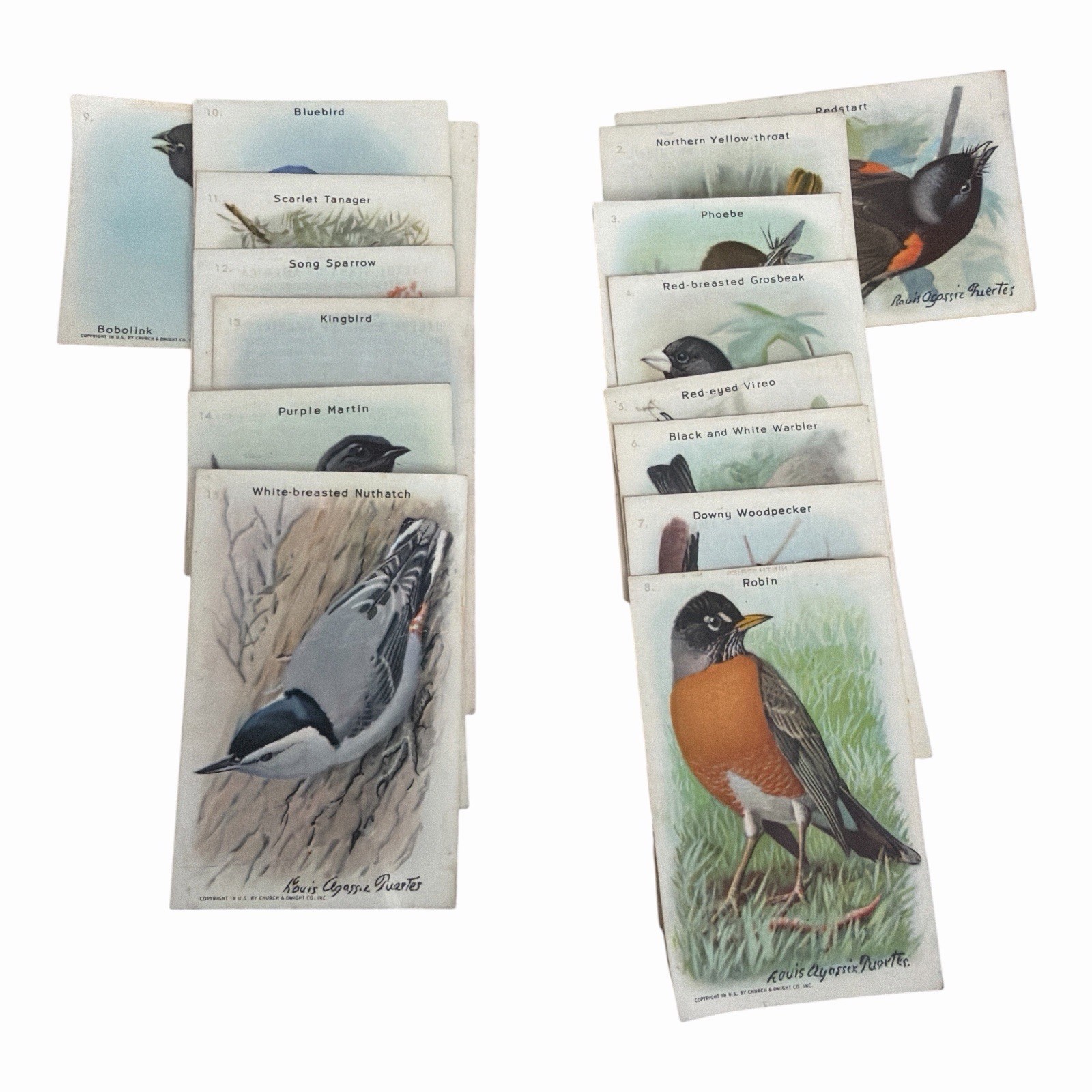 Vintage 1938 Arm & Hammer Useful Birds of America 9th Series COMPLETE 15 Cards