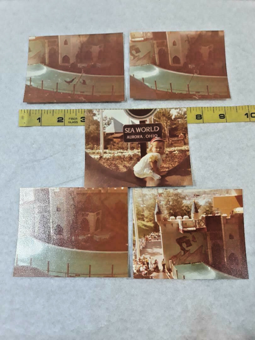 Vintage 1979 Lot of 5 Photos Sea World of Ohio Aurora Seals Girl ~ Ships FREE
