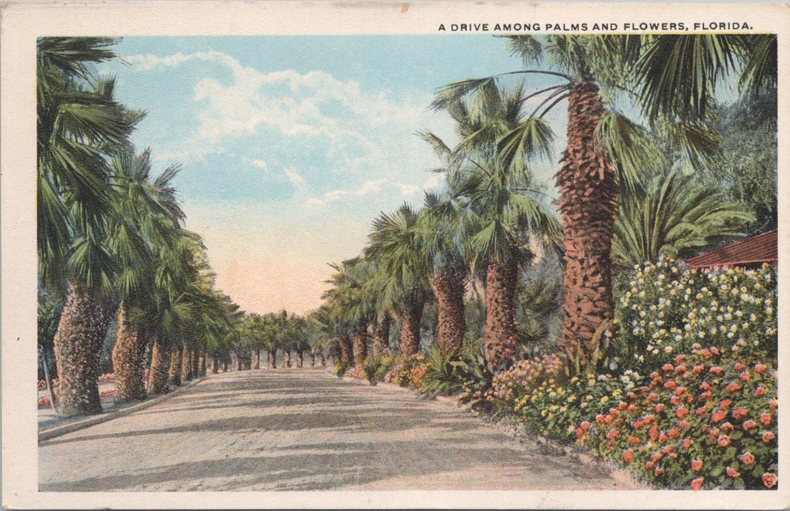 Lithograph ** Florida Scene \