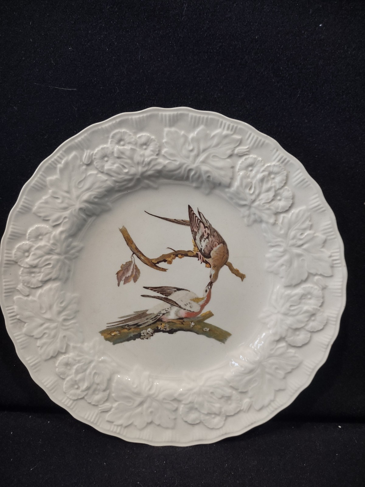 Vintage England Meakin Audubon Passenger Pigeon Extinct Cottagecore Plate [5870]