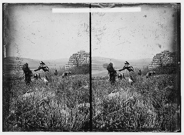Photo:Dothan Alabama 1900s Ruins Northern Views Stereograph Photograph