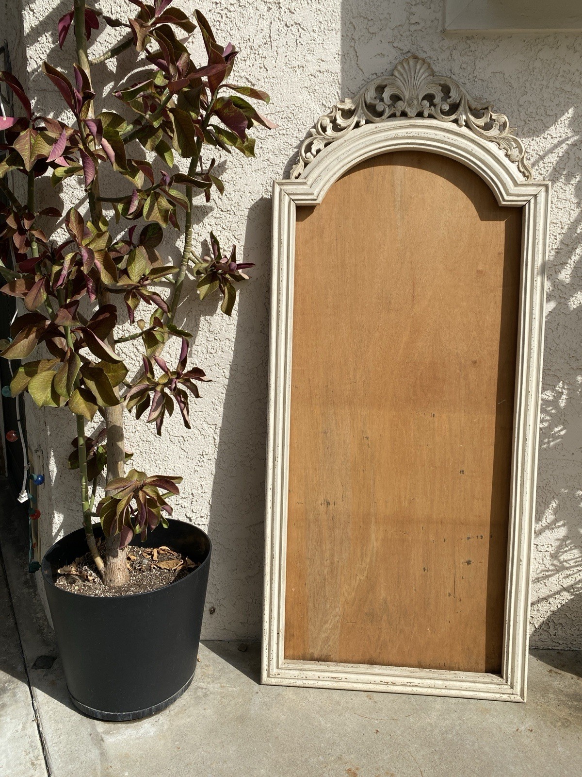 Arched Ornate Frame, Beige, Vertical, 63inch x 26.5 Arched Ornate Frame, Beige, Vertical, 63inch x 26.5