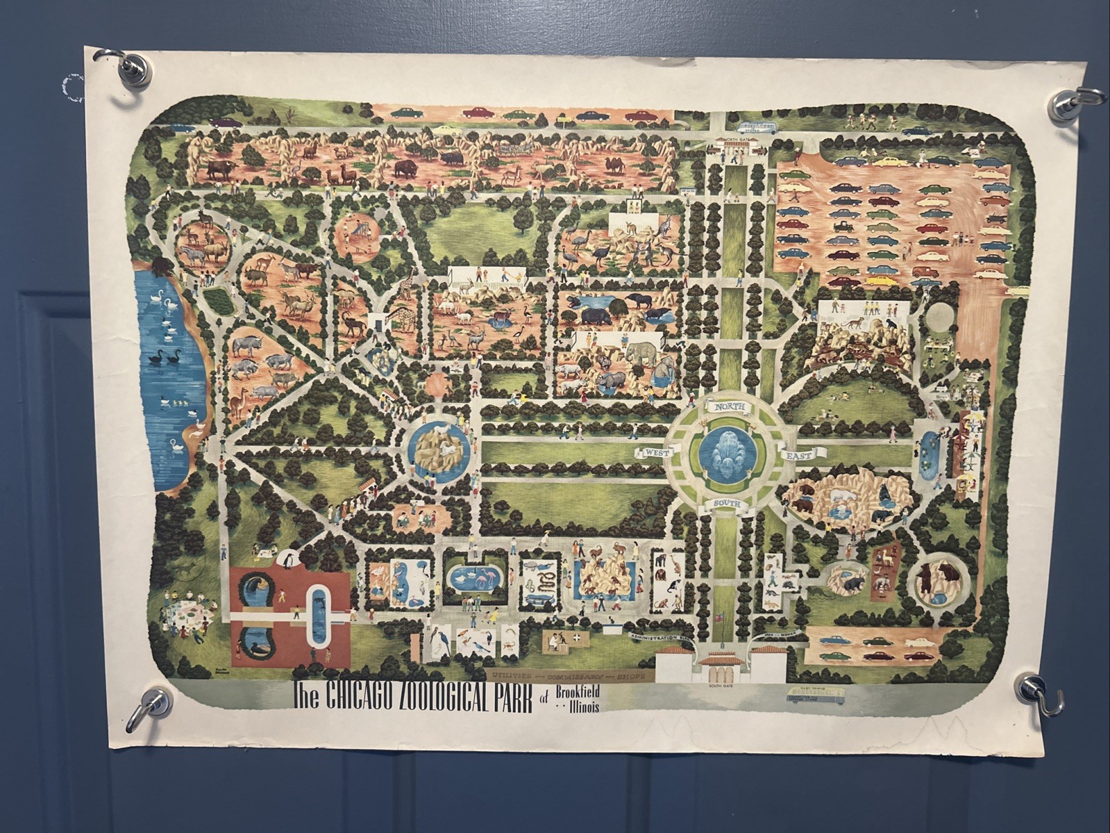 Rare 1950s Chicago Zoological Park Of Brookfield Original Ralph Graham Zoo Map