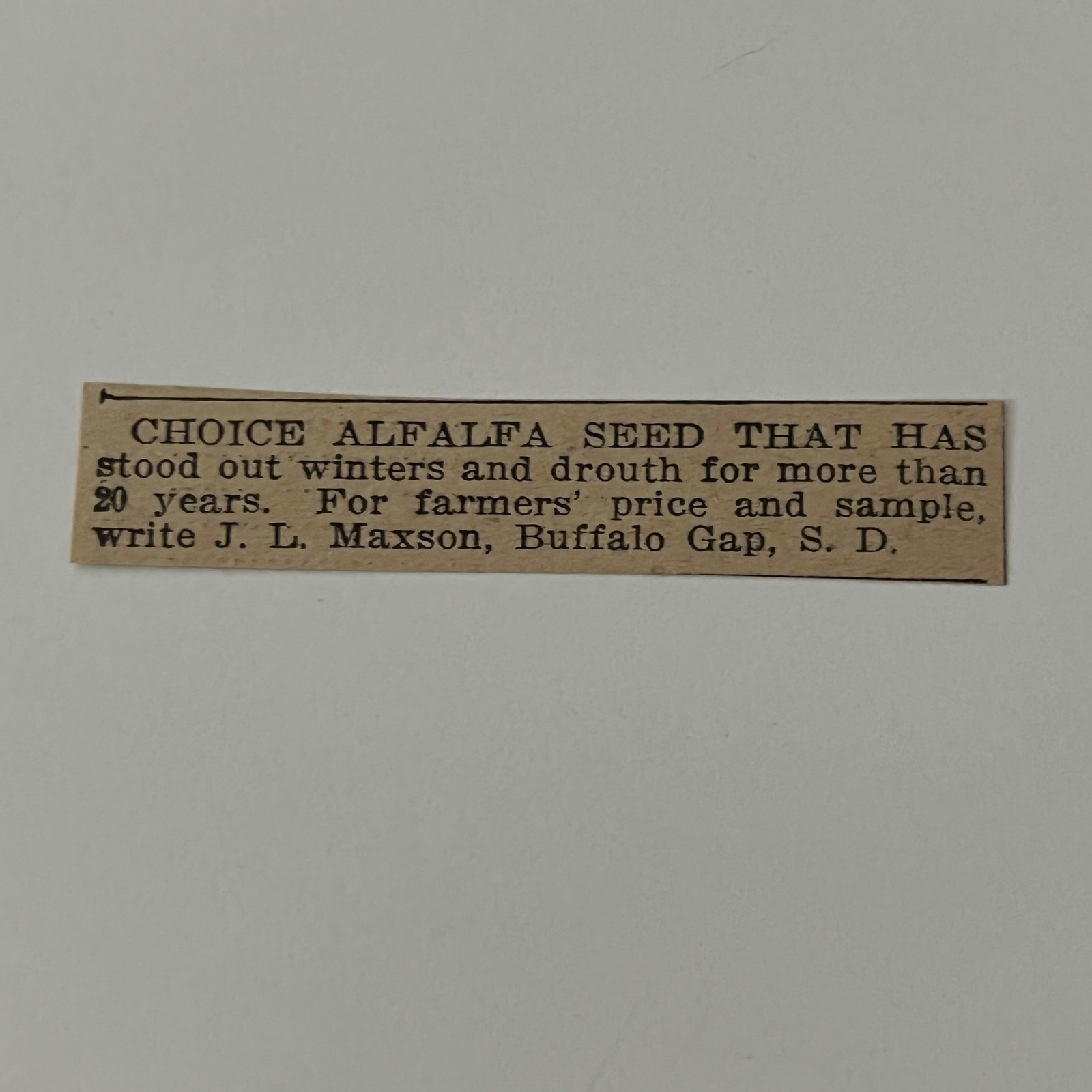 Choice Alfalfa Seed J.L. Maxson Buffalo Gap SD 1911 Ad SAG9-S10