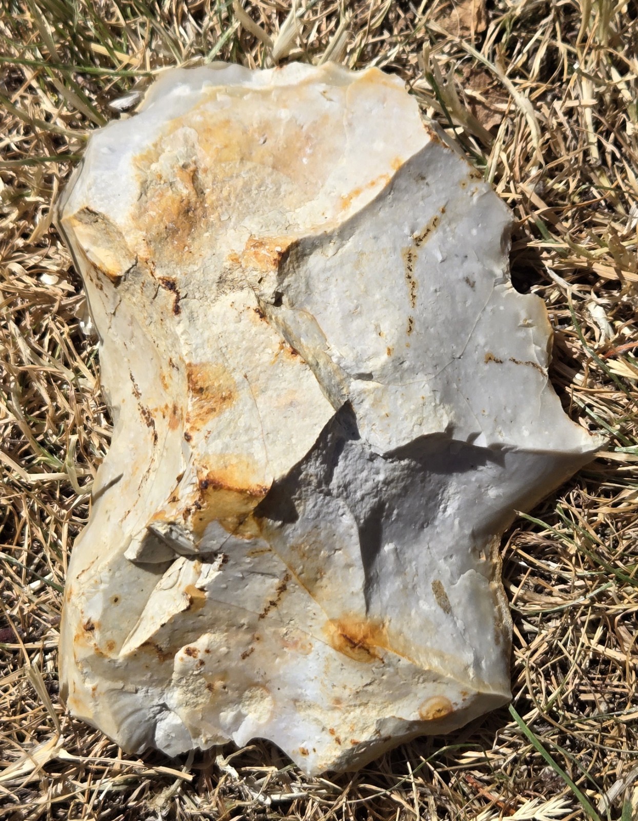 Archaic UK Prehistoric Lower / Middle Palaeolithic Huge Flint Meghafauna Scraper