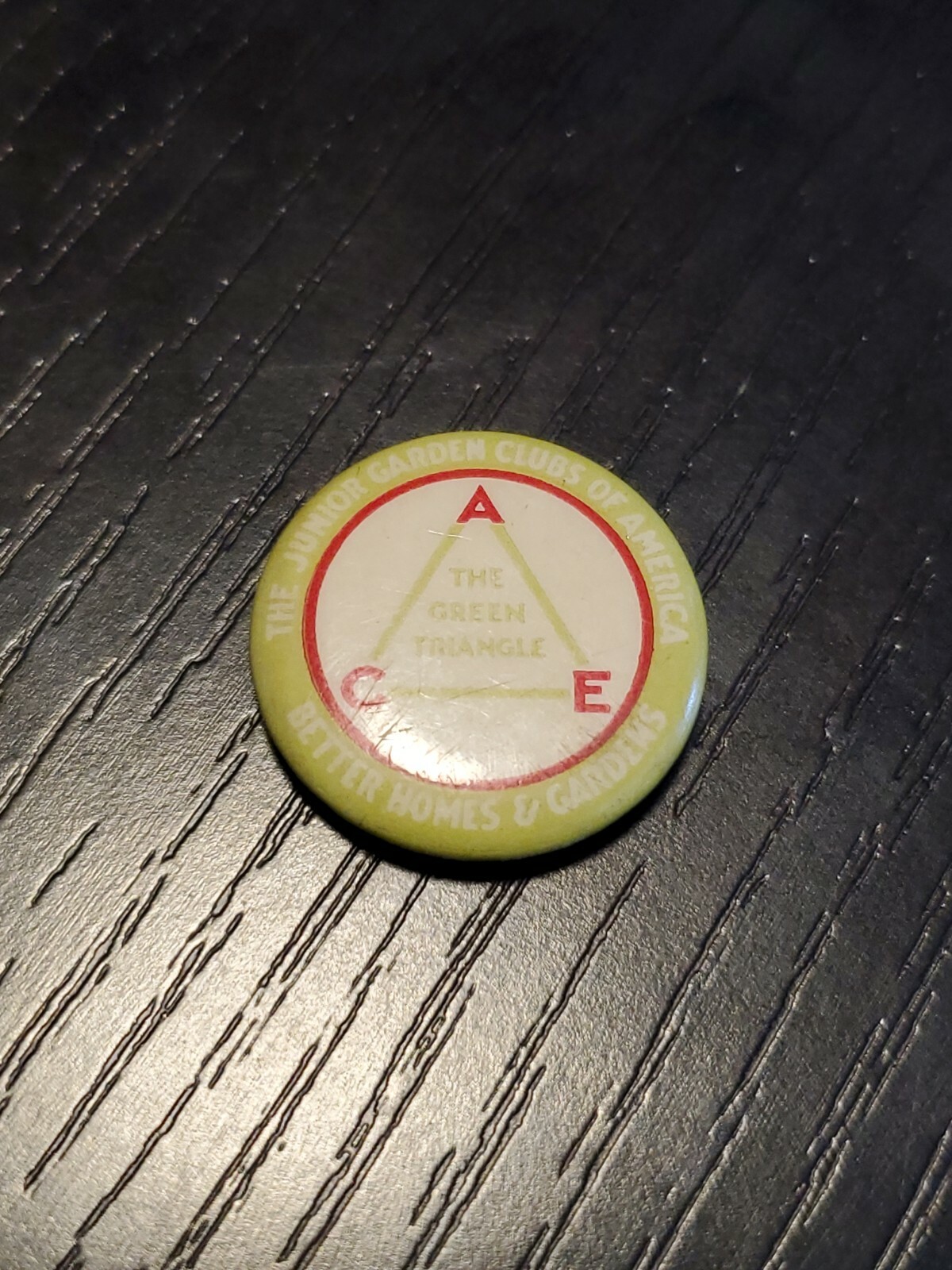BETTER HOMES & GARDEN GREEN TRIANGLE 7/8 IN PINBACK BUTTON VINTAGE VERY RARE gm