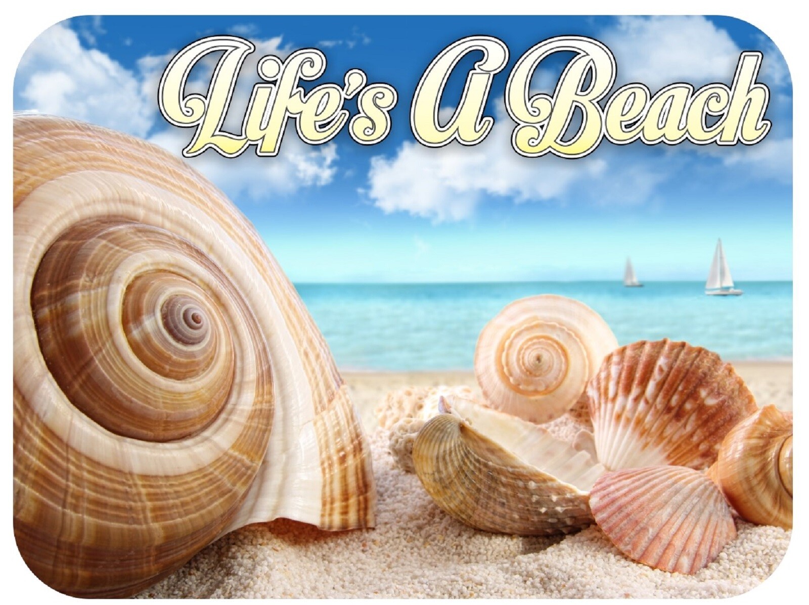 Life\'s a Beach Fridge Magnet with Seashells