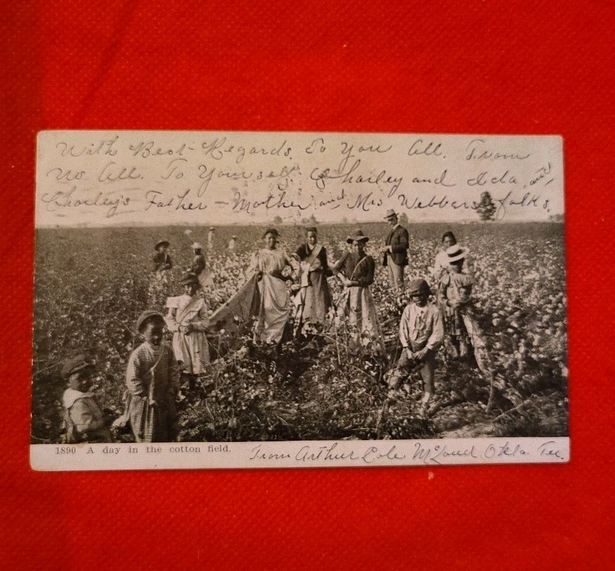 RPPC 1906 Rare early Black Workers In Cottonfield.  Photo Taken 1890 Black White