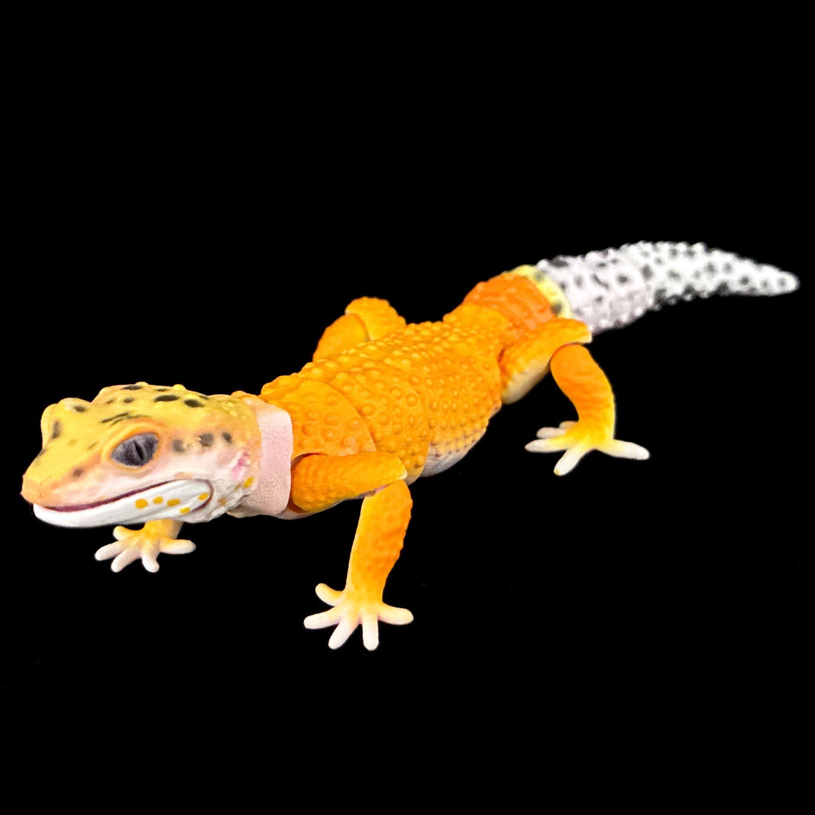 Bandai Leopard Gecko Tangerine Diversity of Life on Earth Advance Figure Japan